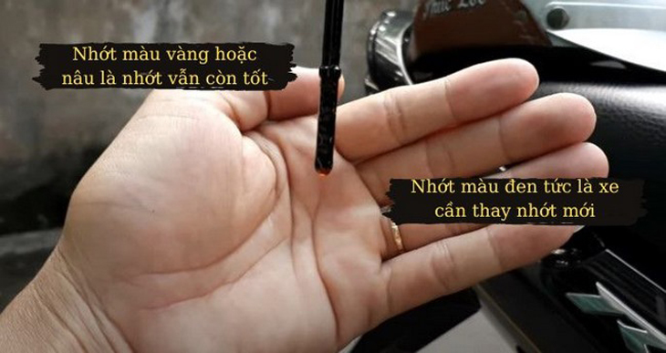 Quan sát màu của nhớt