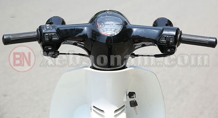 Cub 81 New 2019