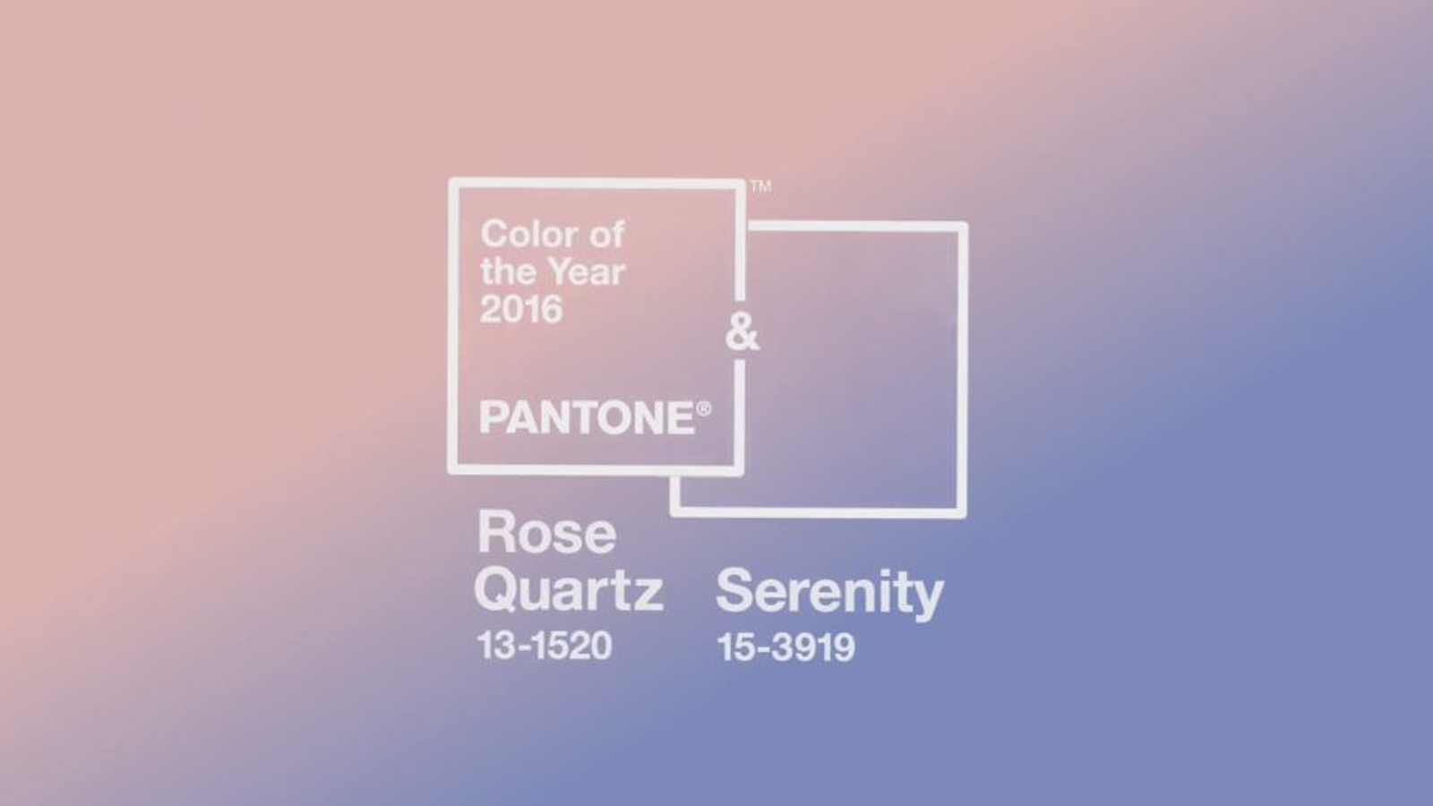 Màu sắc đại diện của năm 2016 - Rose Quartz & Serenity