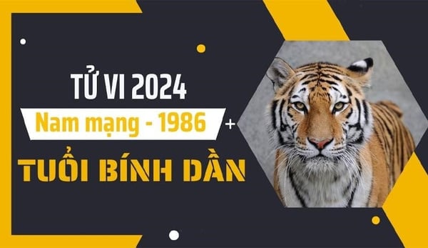 xem-tu-vi-tuoi-binh-dan-1986-nam-mang-nam-2024-chi-tiet-nhat-n17t-onehousing-1