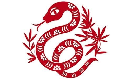 Nữ mạng Tân Tỵ gặp sao La Hầu chiếu mạng vào năm 2024