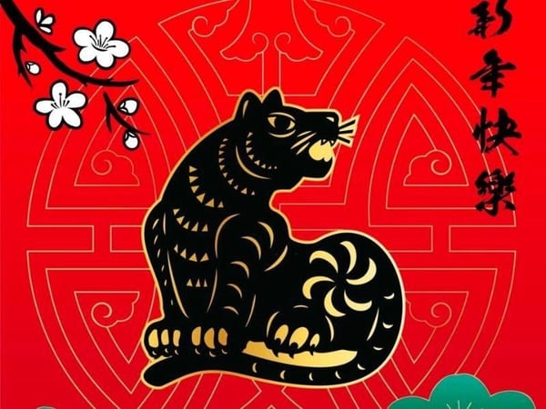Thông tin cơ bản về người tuổi Mậu Dần 1988