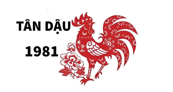 Xem tử vi tuổi Tân Dậu 1981 - Nữ mạng năm 2024
