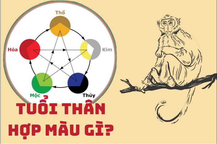 Xem tử vi tuổi nhâm thân 1992: Nam Mạng 2024 có gì ?