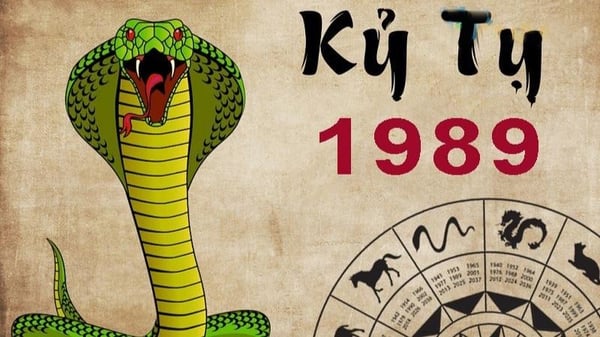xem-boi-tuoi-ky-ty-1989-nam-mang-nam-2024-chi-tiet-nhat-onehousing-1