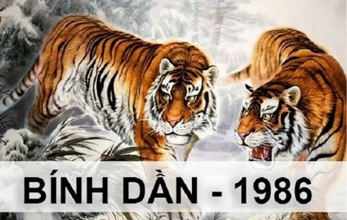 Tử vi tuổi Bính Dần 1986 năm 2024: Vận trình chi tiết
