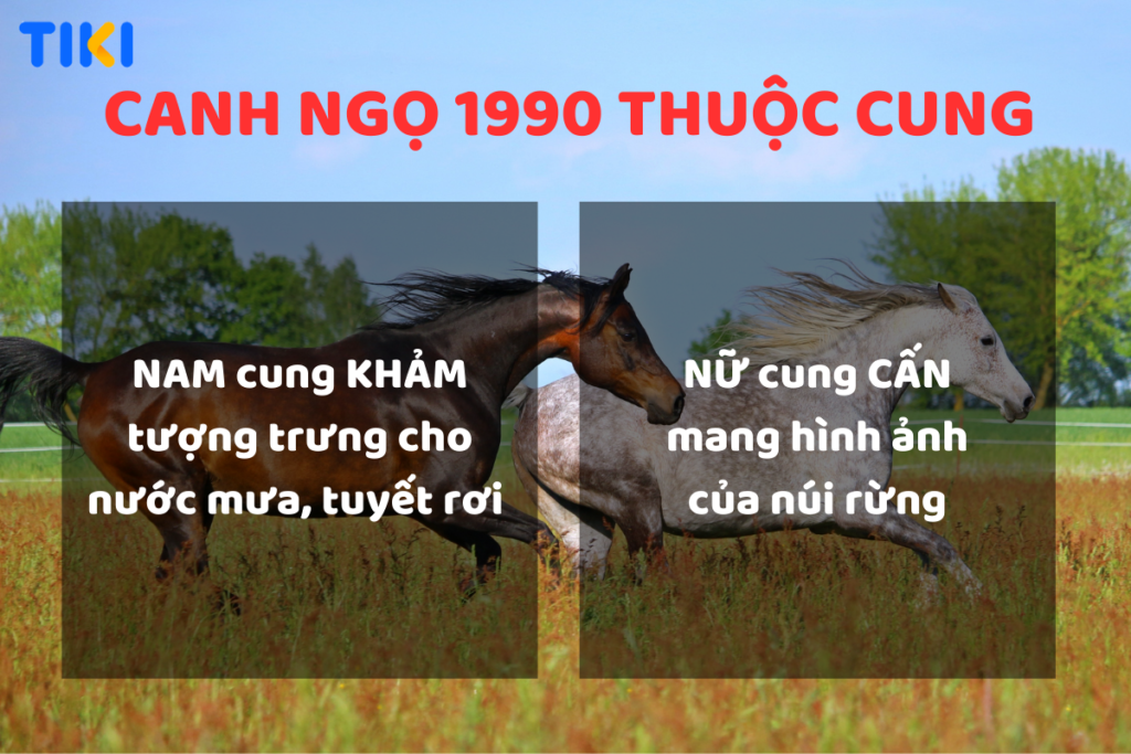 Tuổi Canh Ngọ 1990 mệnh như thế nào? Hợp với tuổi nào? Cùng xem màu sắc nào phù hợp!